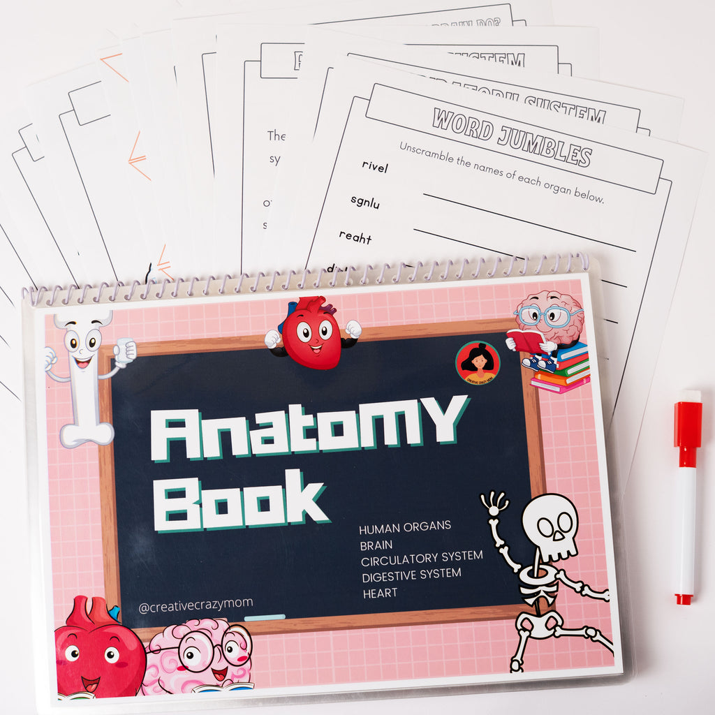 Anatomy Kit
