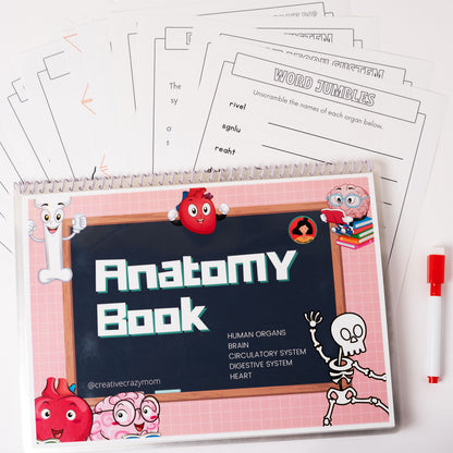 Anatomy Kit
