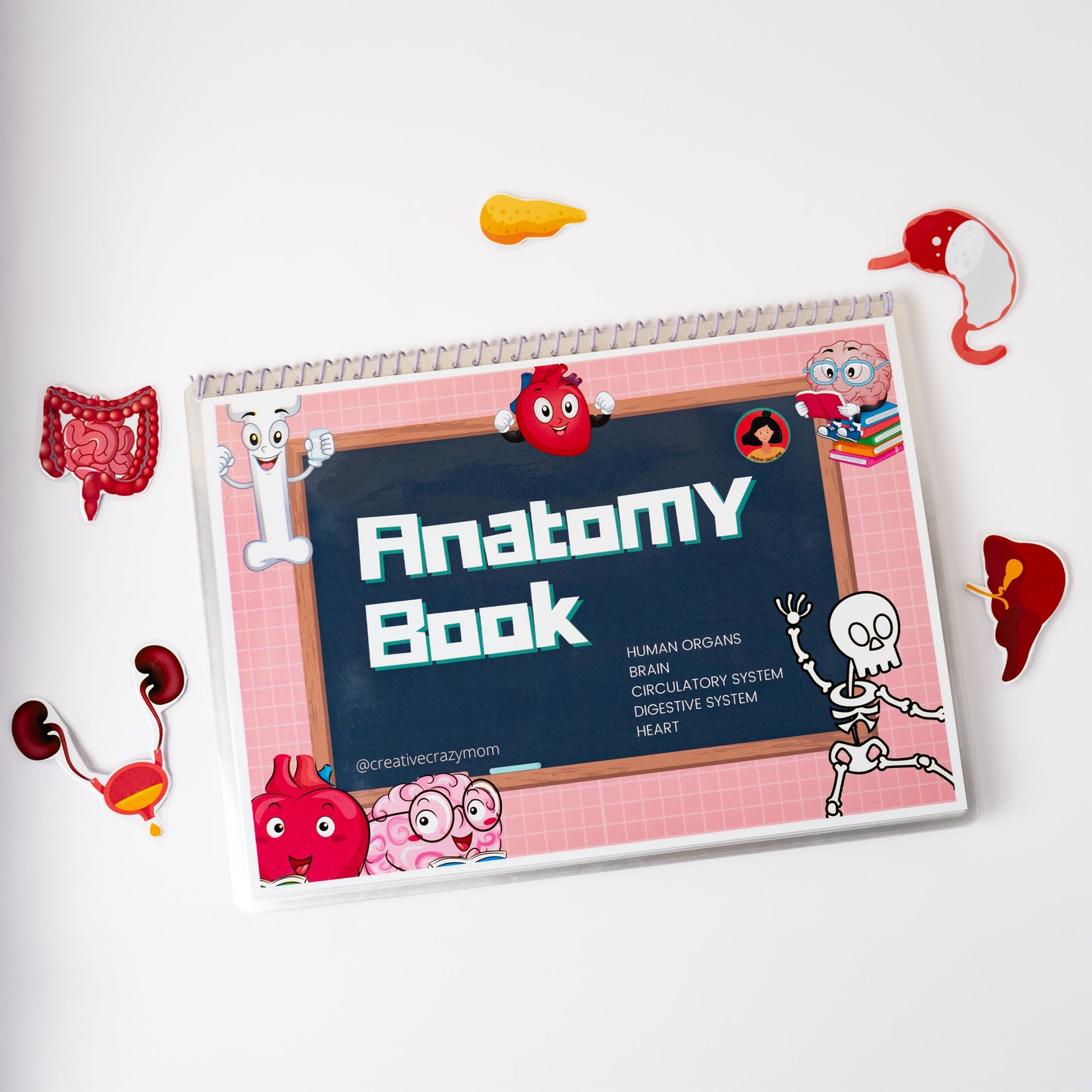 Anatomy Kit