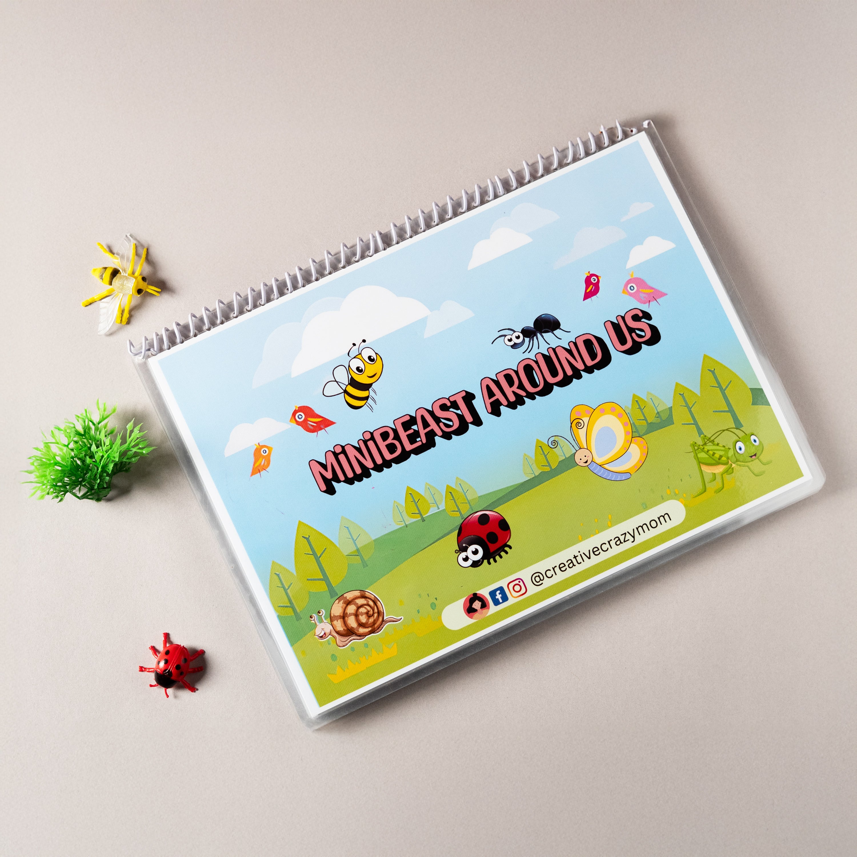 Minibeasts Around Us