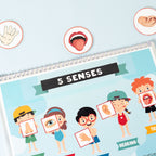 5 Senses