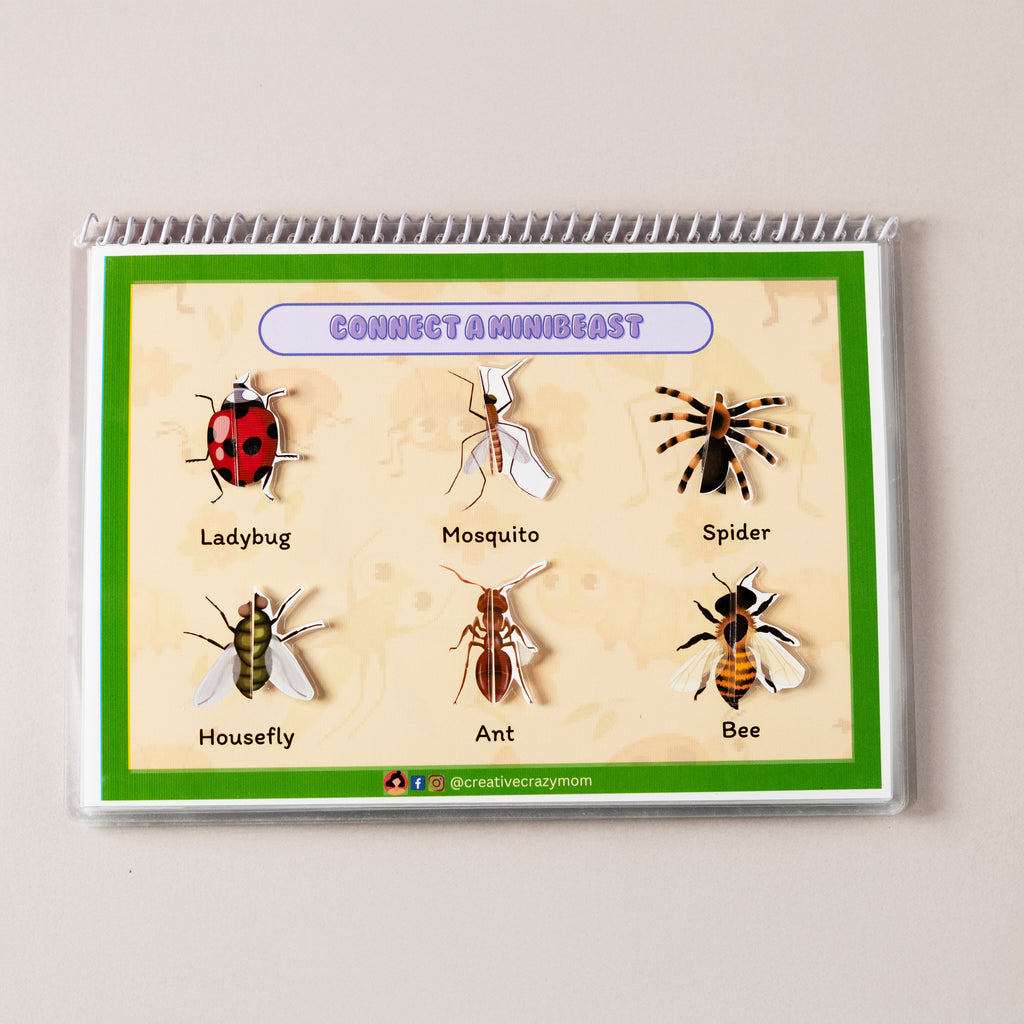 Minibeasts Around Us