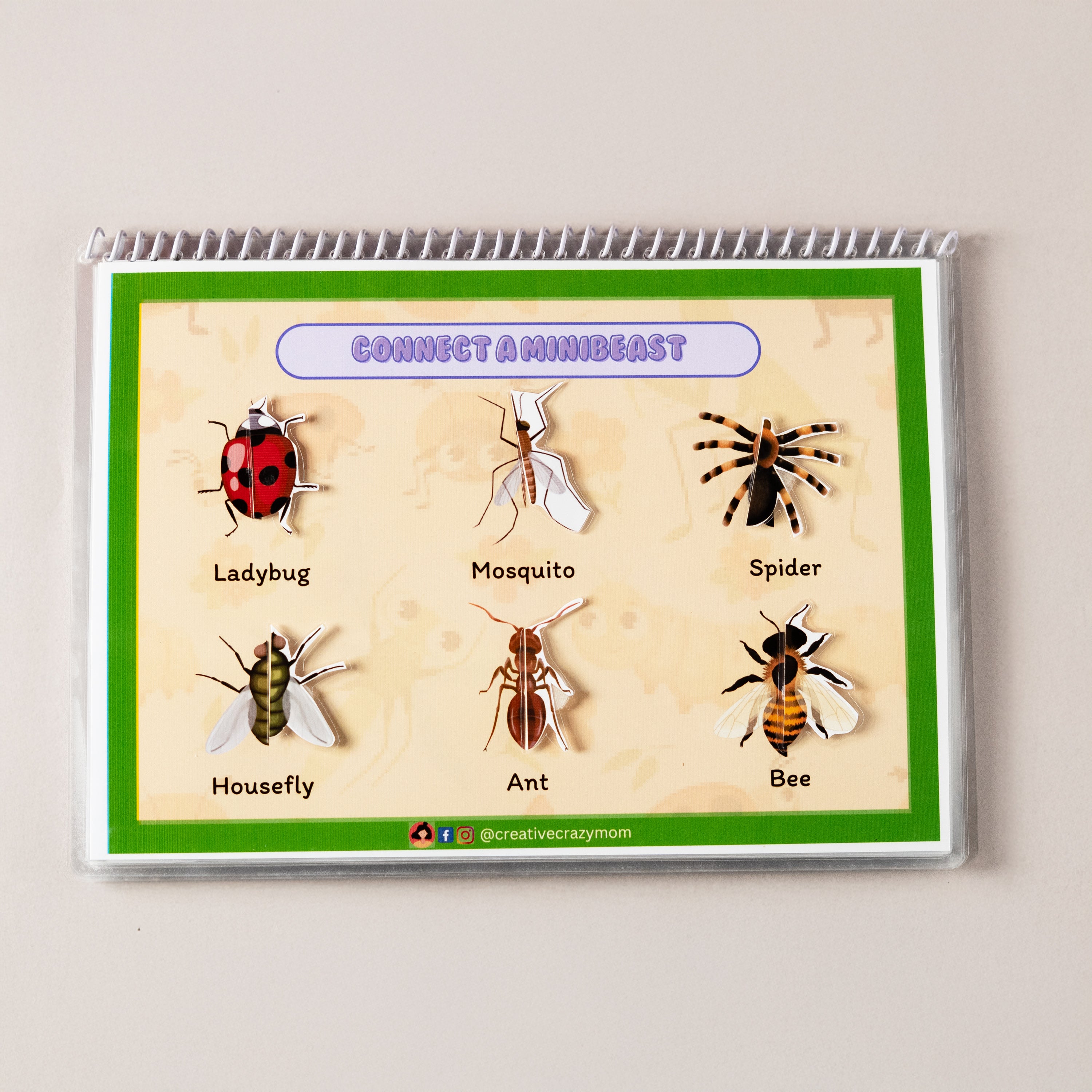 Minibeasts Around Us