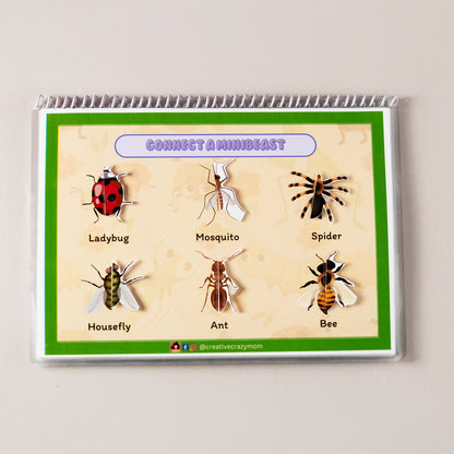 Minibeasts Around Us