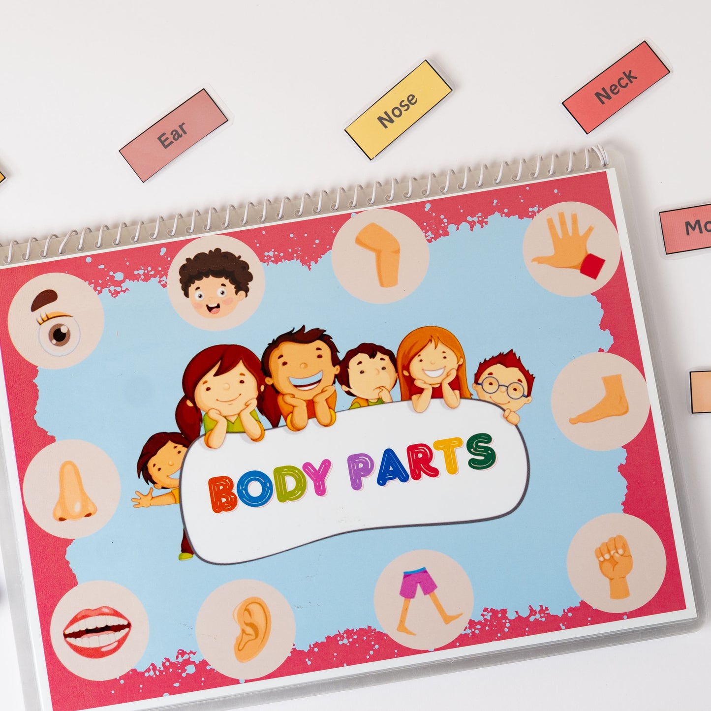 Body Parts
