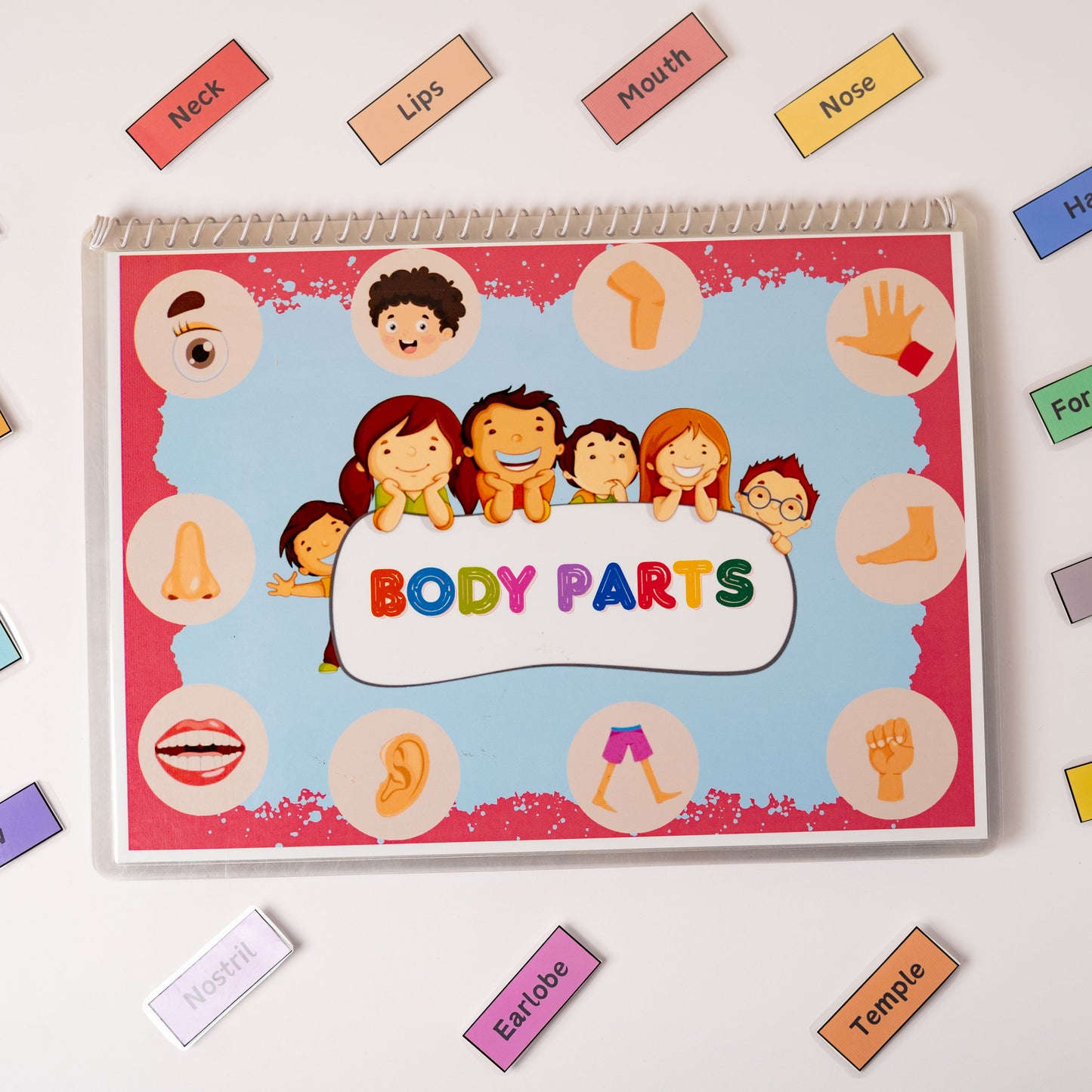 Body Parts