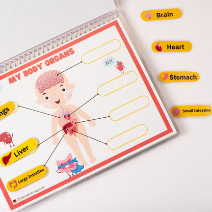 Anatomy Kit