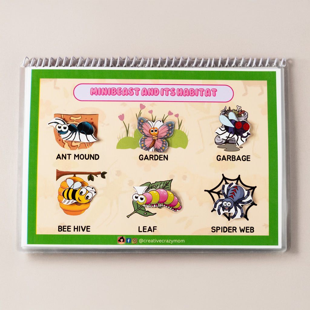 Minibeasts Around Us