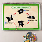 Minibeasts Around Us