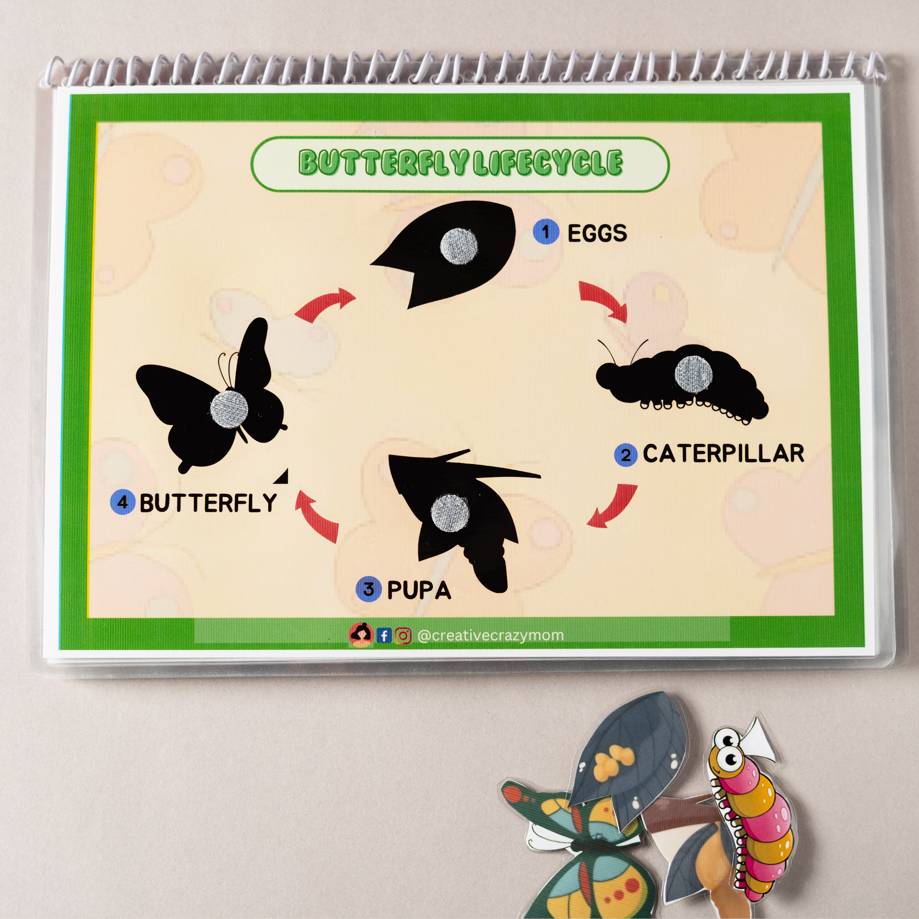 Minibeasts Around Us