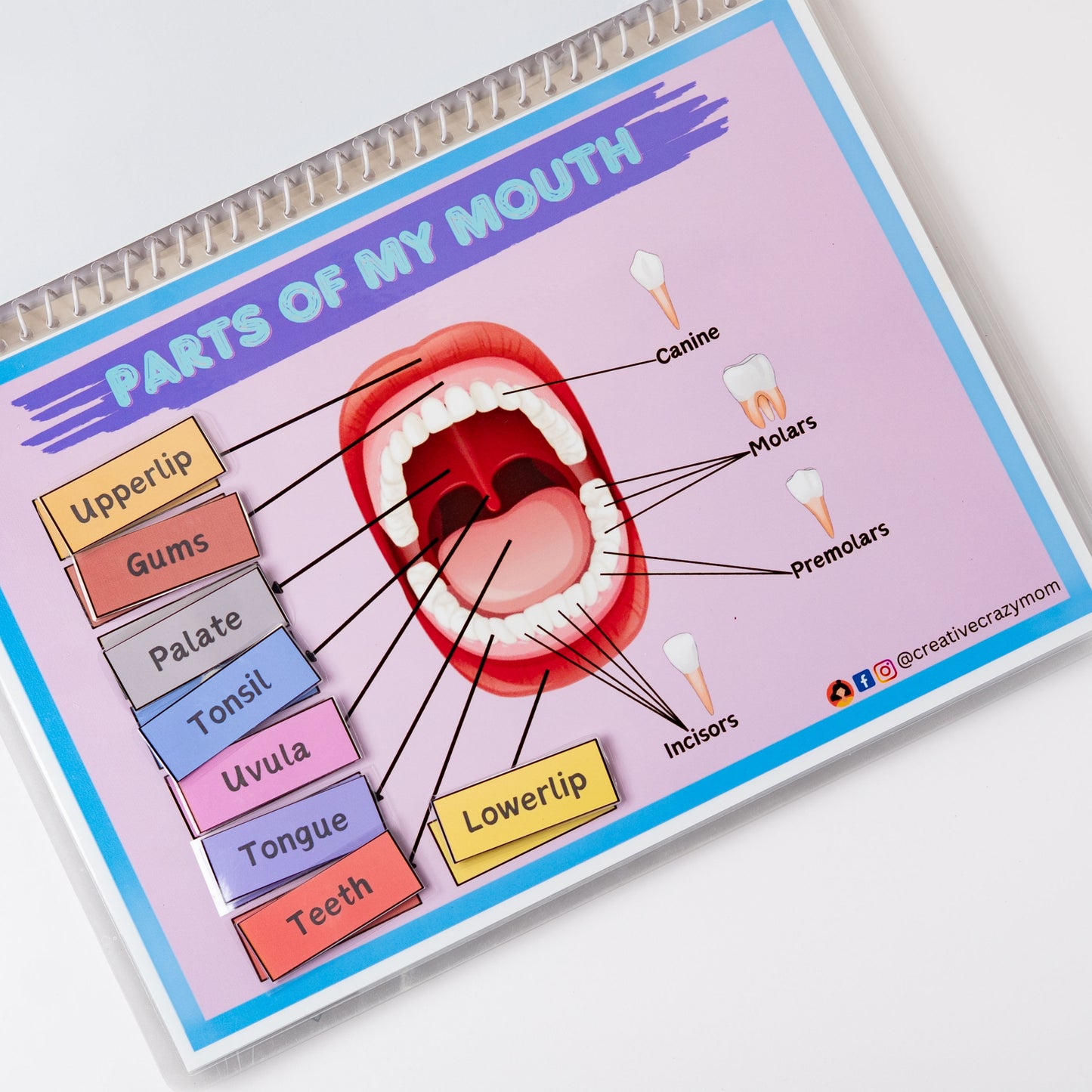 Body Parts