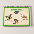 Minibeasts Around Us