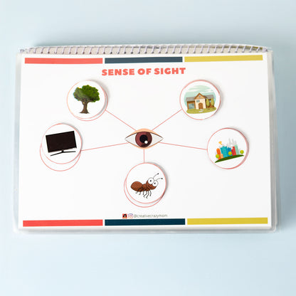 5 Senses