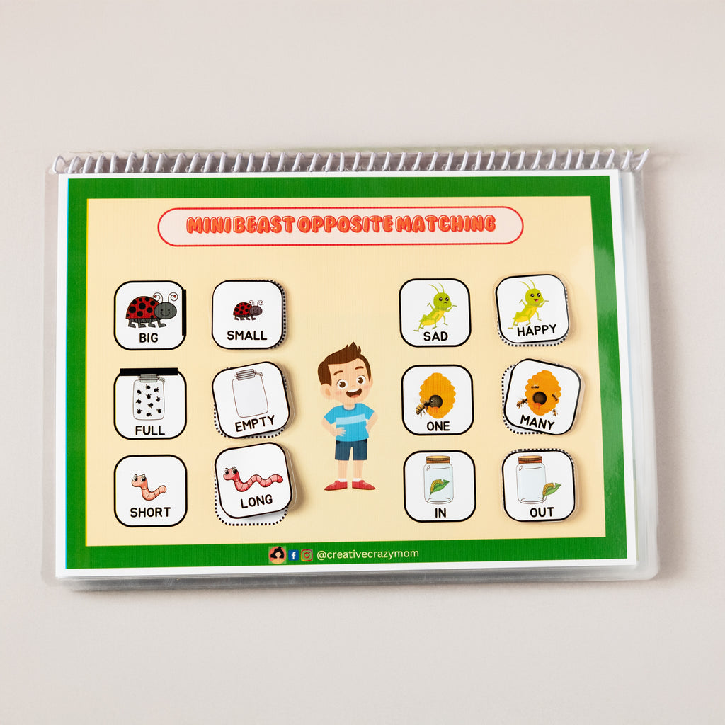 Minibeasts Around Us