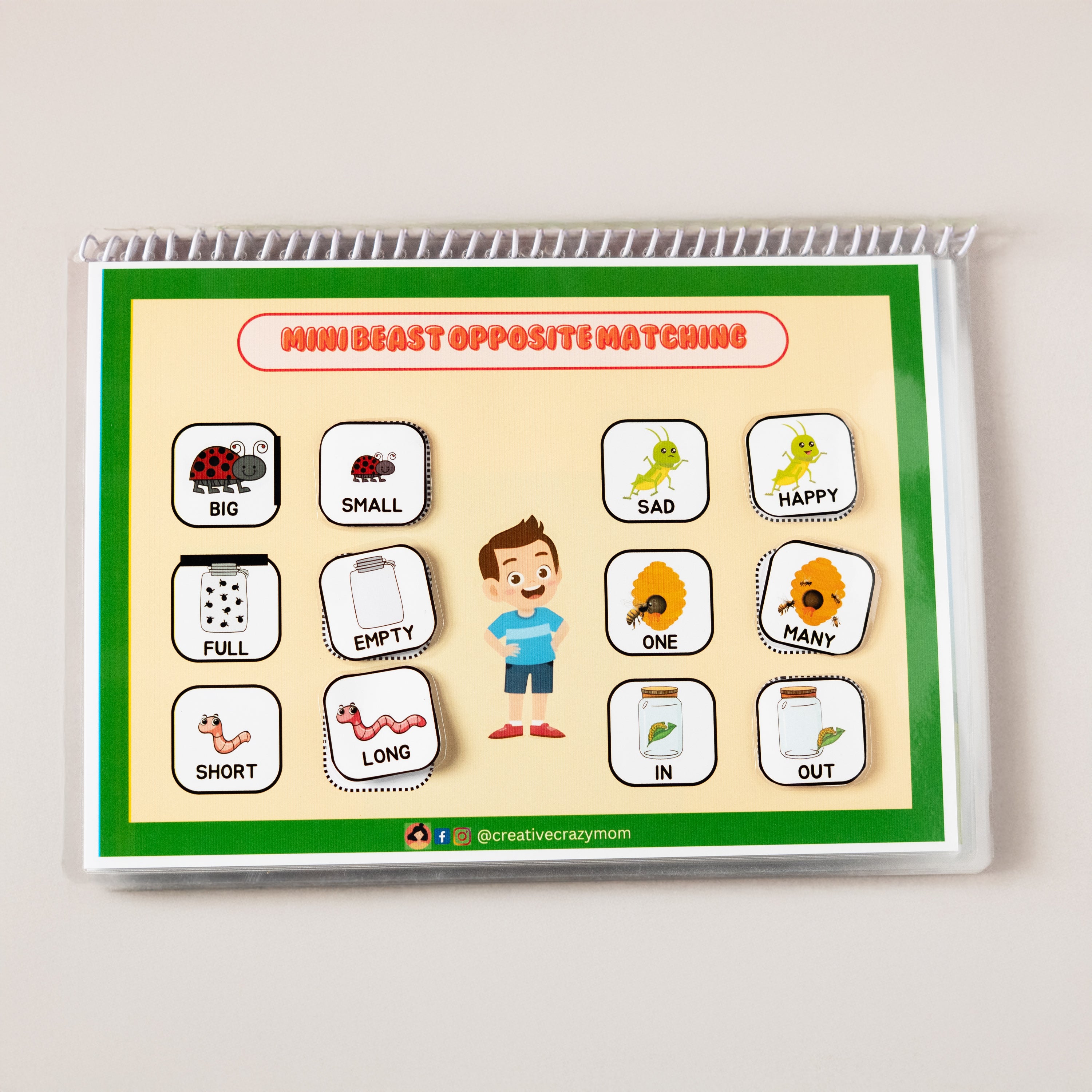 Minibeasts Around Us