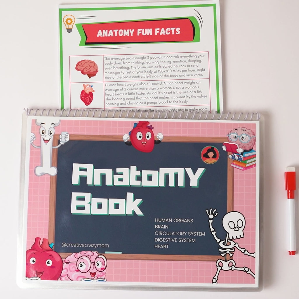 Anatomy Kit