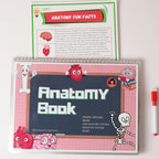 Anatomy Kit