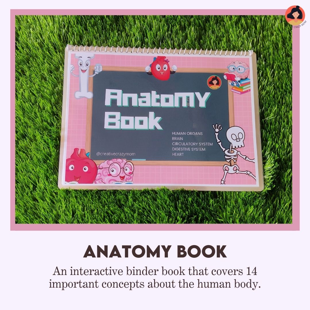 Anatomy Kit Creative Crazy Mom